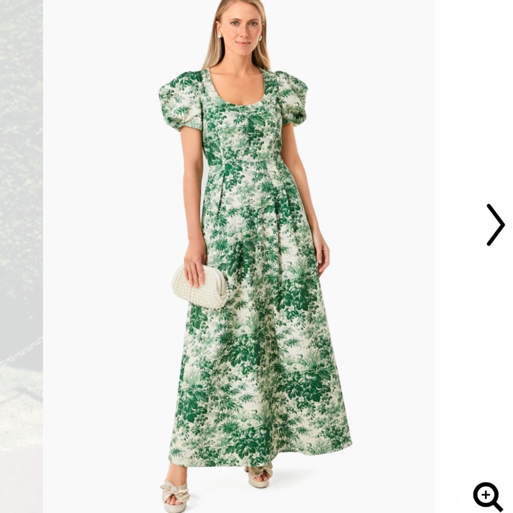 NWT Cypress Toile Amelia Gown